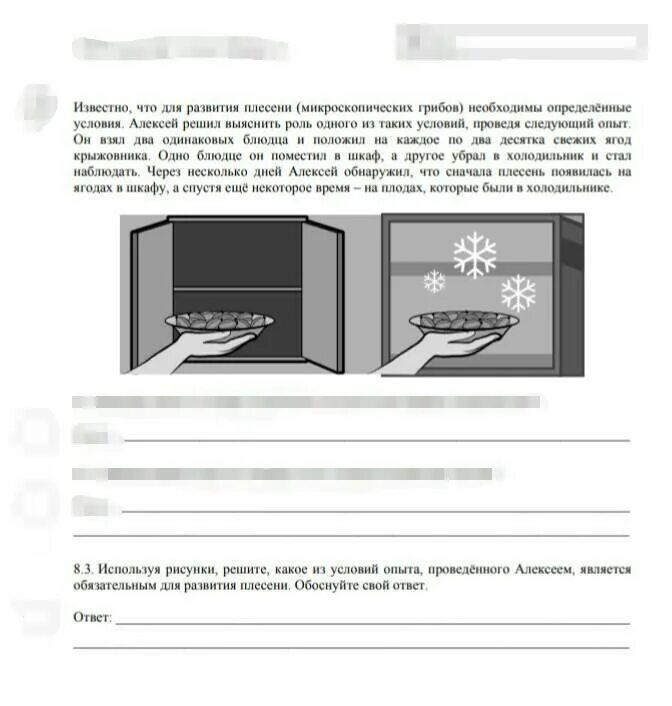 Известно что для развития плесени необходимы определенные условия. ВПР биология 6 класс известно что для развития плесени. Что необходимо для развития плесени. Опыт на количество плодов развитие плесени. Известно что для развития плесени необходимы определенные