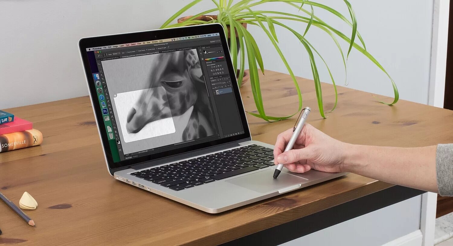 Что делать ноут. Графический планшет Эппл. Apple Pencil и макбук. Графический планшет для ноутбука. Ноутбук для рисования на графическом планшете.