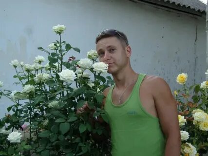 Караван симферополь