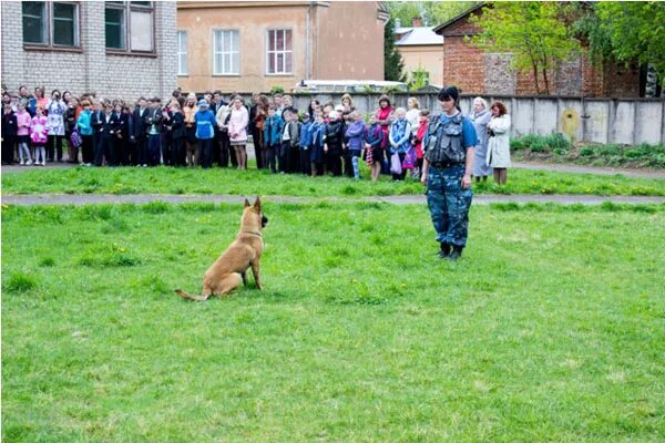 Великие луки собак. Училище кинолог великие луки псковской области.