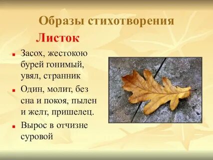 История создания стихотворения листья