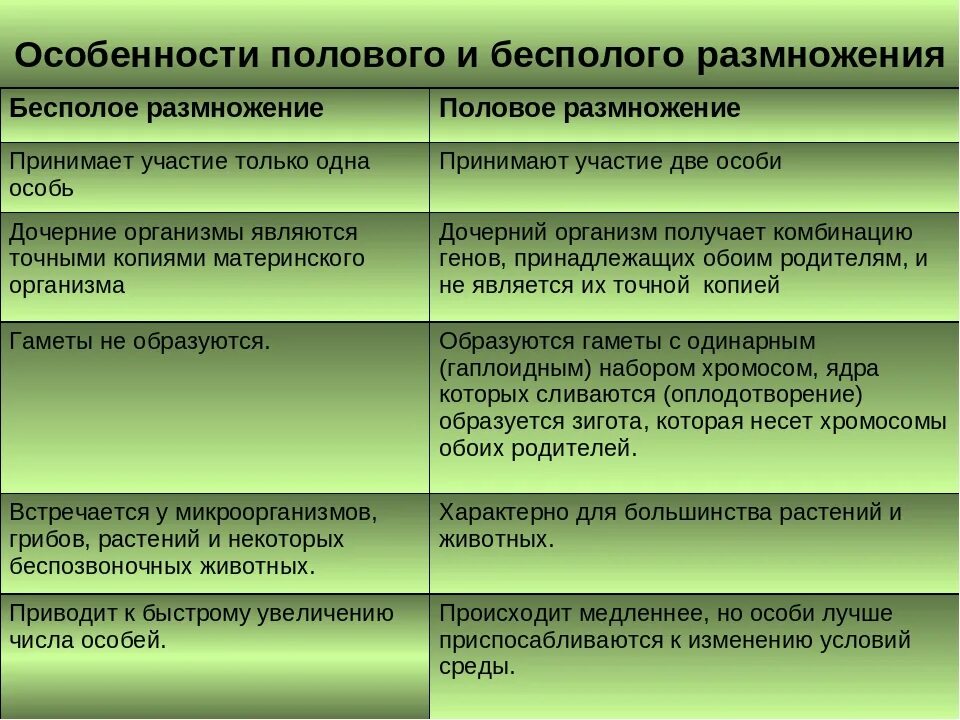 Установите соответствие половое размножение