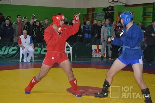 Ялта самбо искать. Сш самбо им. Секции самбо в ялте. Турнир костенко ялта самбо 2022. Самбо ялта 2016.