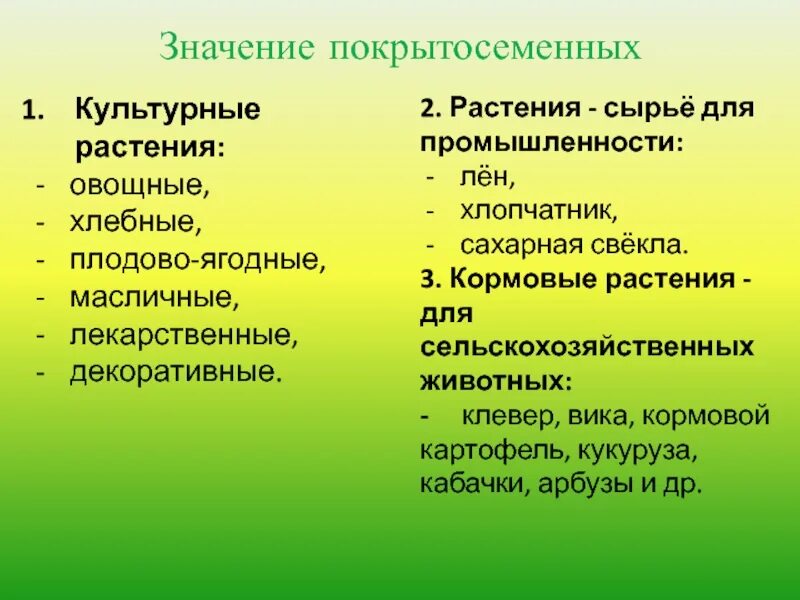 Растений человеком становится. Значение цветковых растений. Значение покрытосеменных растений. Значение покрытосеменных растений в природе и жизни человека. Роль цветковых растений в природе.