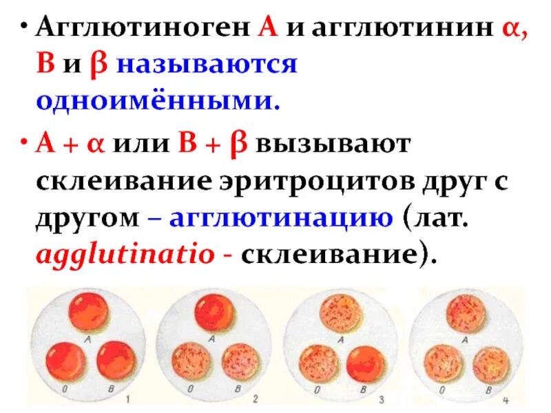 Агглютиноген в и агглютинин α. Агглютинация эритроцитов таблица. Группы крови таблица агглютиногены. Агглютиноген а и агглютинин Альфа группа.