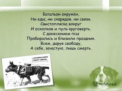 Ни окружить