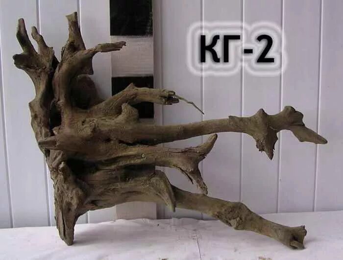 Репутация коряги. Коряга для террариума. коряга 2007. вишня коряга. дерево в аквариуме из коряги.