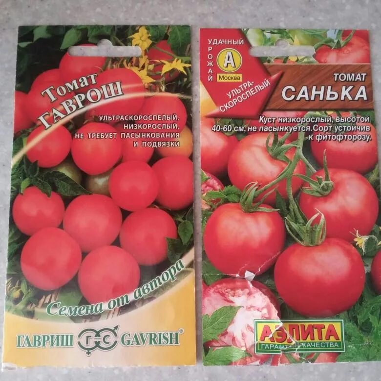 Томат парниковый ультраскороспелый. Томат ультраскороспелый характеристика. Томат ультраскороспелый седек. Томат ультраскороспелый характеристика. Томат парниковый ультраскороспелый.