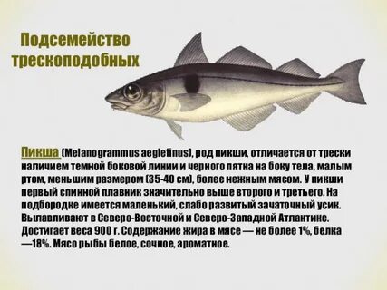 Наличие боковых