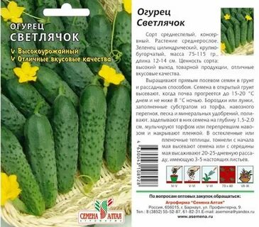 Семена алтая грунт