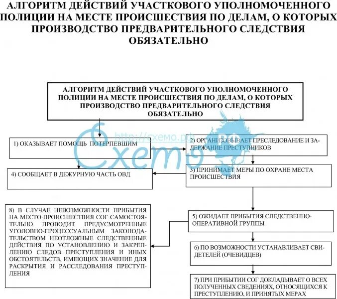 Алгоритм следственных действий. Схема действий при преступлении. Алгоритм действий участкового уполномоченного.