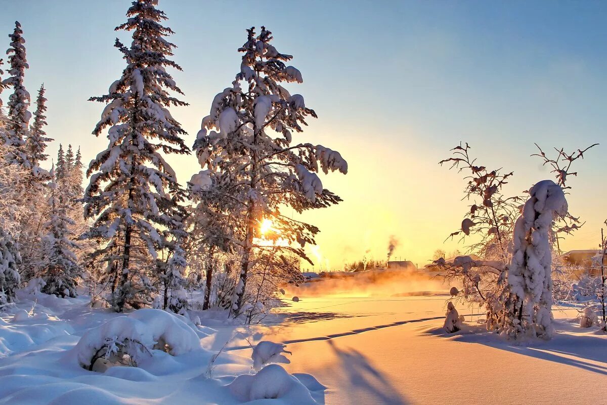 Зима снег. Зимняя природа. Красивая зима. Зимний закат. Красивая зима.