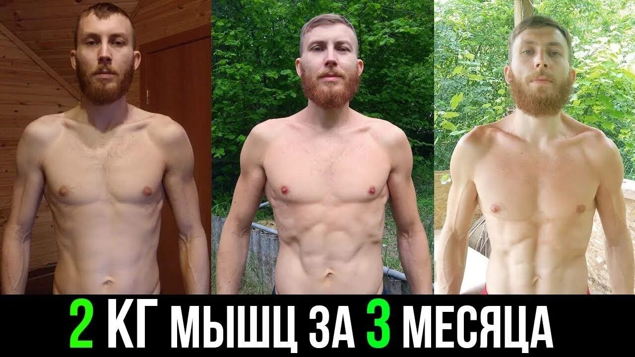 Можно ли накачаться за 3 месяца. Можно ли накачаться за 3 месяца. Накачаться за 3 месяца. Эктоморф 80 кг. Трансформация тела.