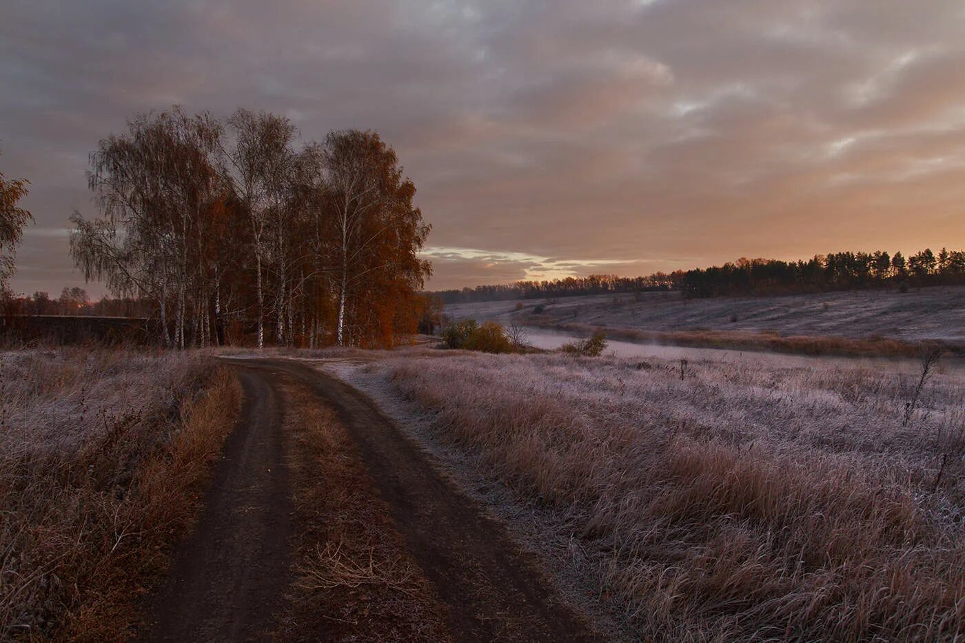 Поздняя осень. Сельская дорога. Поздняя осень дорога. Осенняя деревенская дорога. Осень дорога в деревне