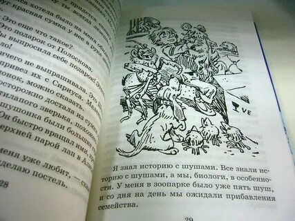 Слушать путешествие алисы кустики в сокращении