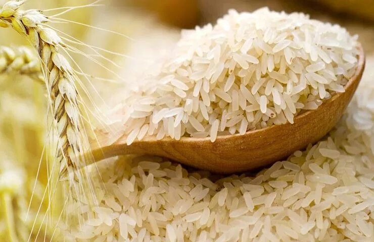 Much rice. Basmati Rice. Рис баннер. Один рис. Рис супер басмати.