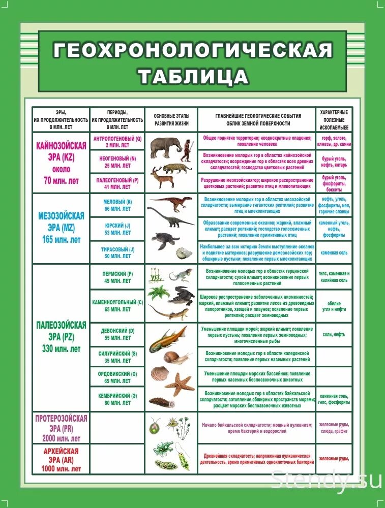 Эволюция живого таблица. Таблица по биологии 10 класс Геохронологическая таблица. Эры и периоды биология ЕГЭ таблица. Таблица Геохронологическая таблица биология 9 класс. Эры биология 11 класс таблица.