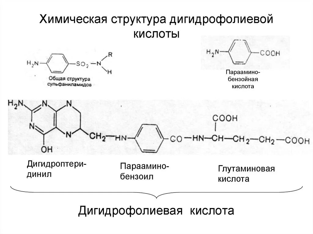 Дигидрофолиевая кислота формула. Парааминобензойная кислота Синтез фолиевой кислоты. Синтез дигидрофолиевой кислоты. Образование дигидрофолиевой кислоты.