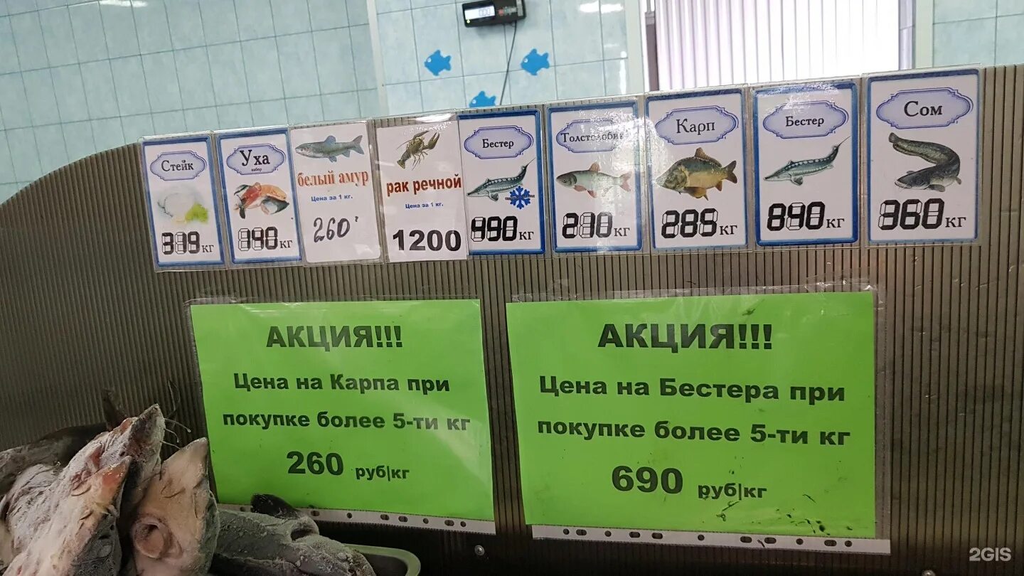 рыбный магазин. магазин рыбы и морепродуктов. рыбный магазин симферополь. номер телефона рыбного. рыба в магазине.
