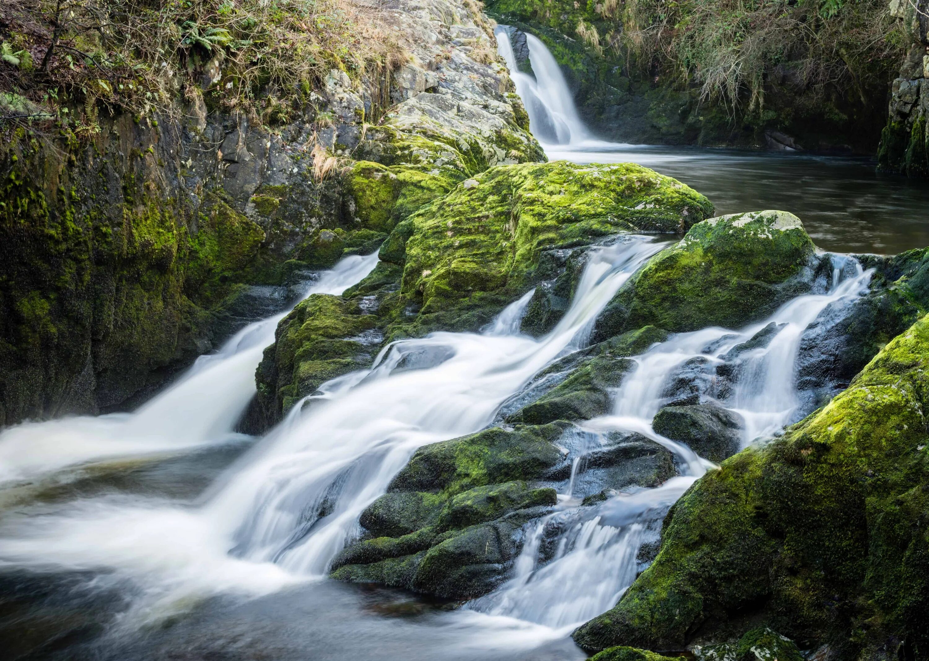 Поток воды. Лесной ручей водопад Йоркшир. Водопады на реке плис Ривер. Река с водопадом.