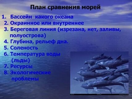 Сравнительная характеристика черного моря