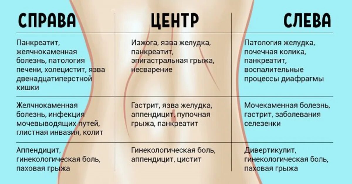 Какой орган находится слева под ребрами спереди