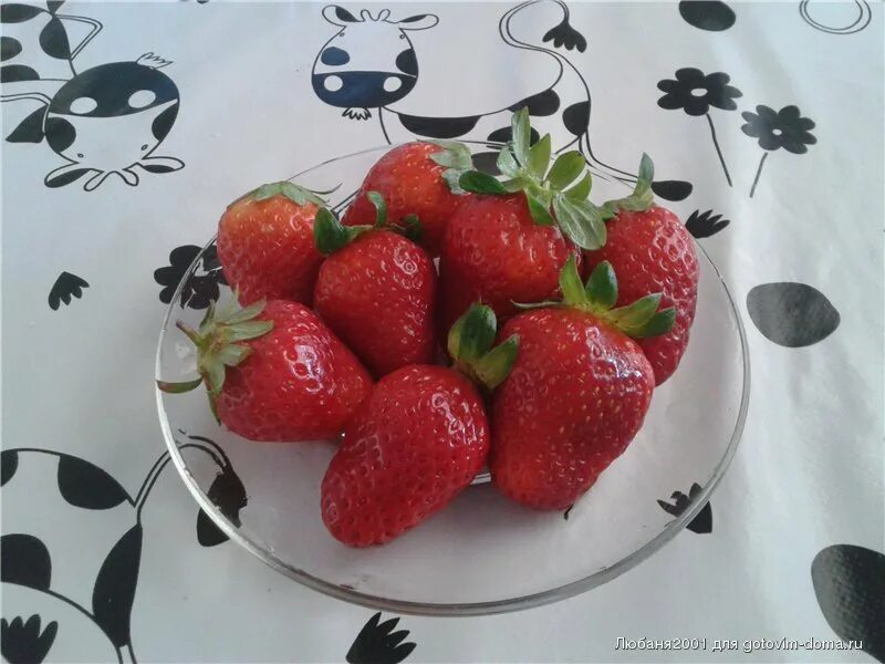 Готовим с любаней. Готовим с любаней
