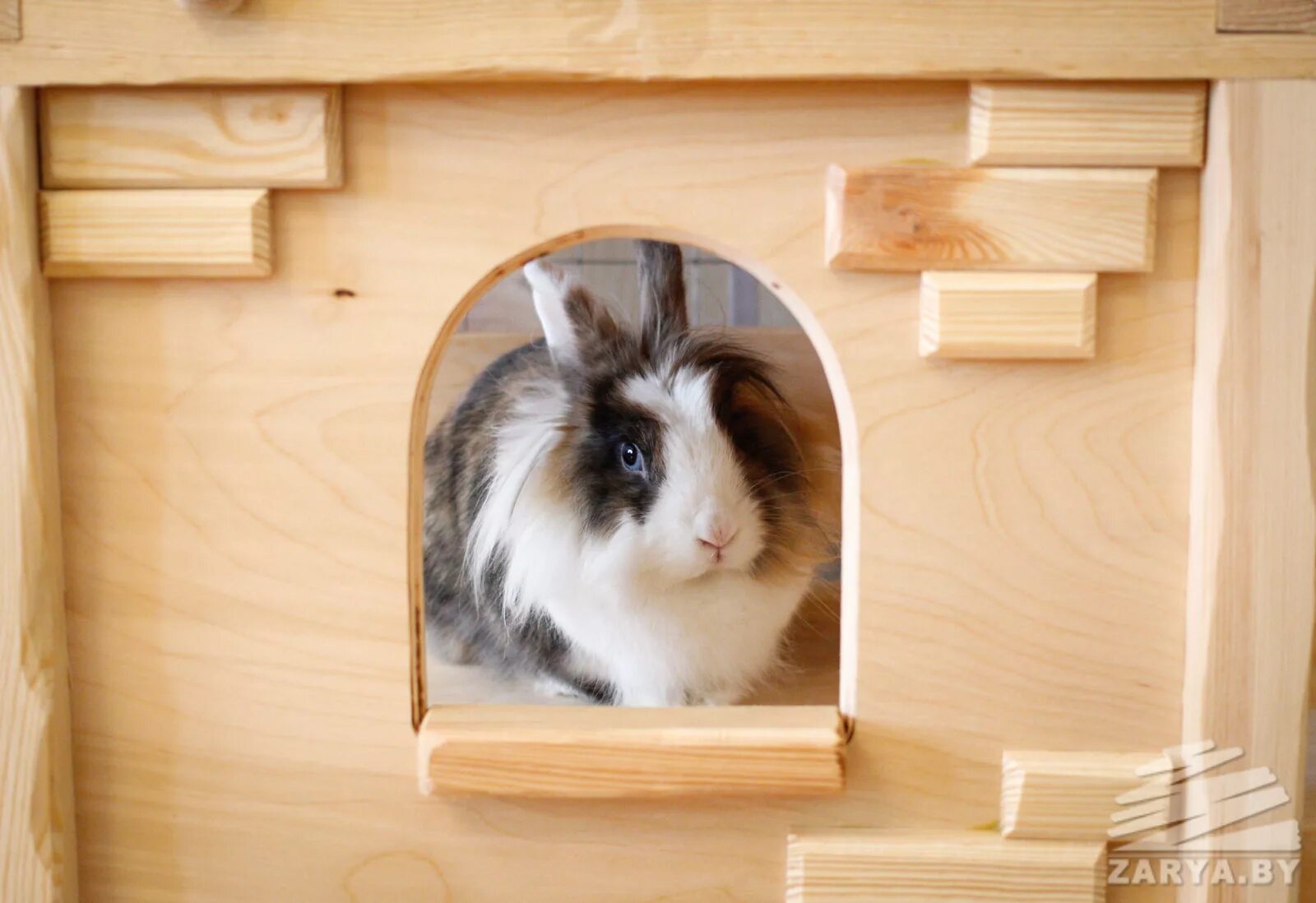 А ну ка давай ка minecraft. Анука давайка кролик баффи. Кролик баффи один блок майнкрафт. Анука давайка 2022. Кролик баффи майнкрафт.