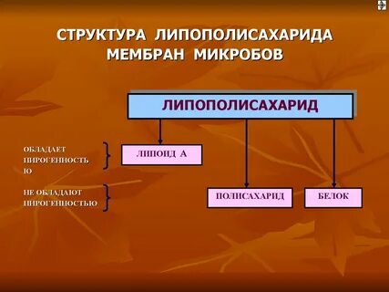 Пирогенность