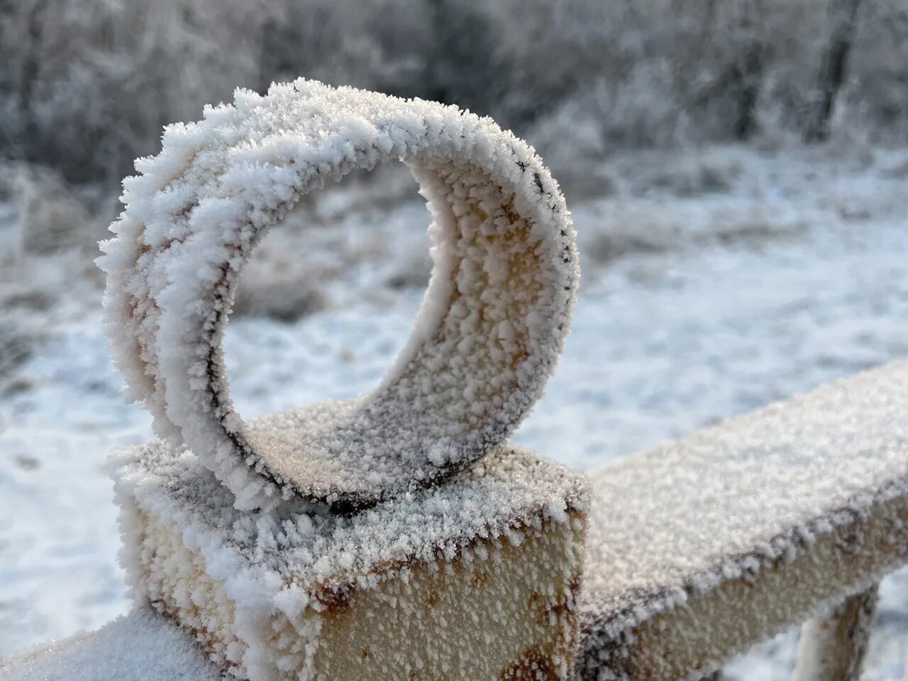 Сильный утренний мороз сковал. Мороз сковал. Мороз на улице Pixabay. Холод 56. Gl на улице в Морозы.
