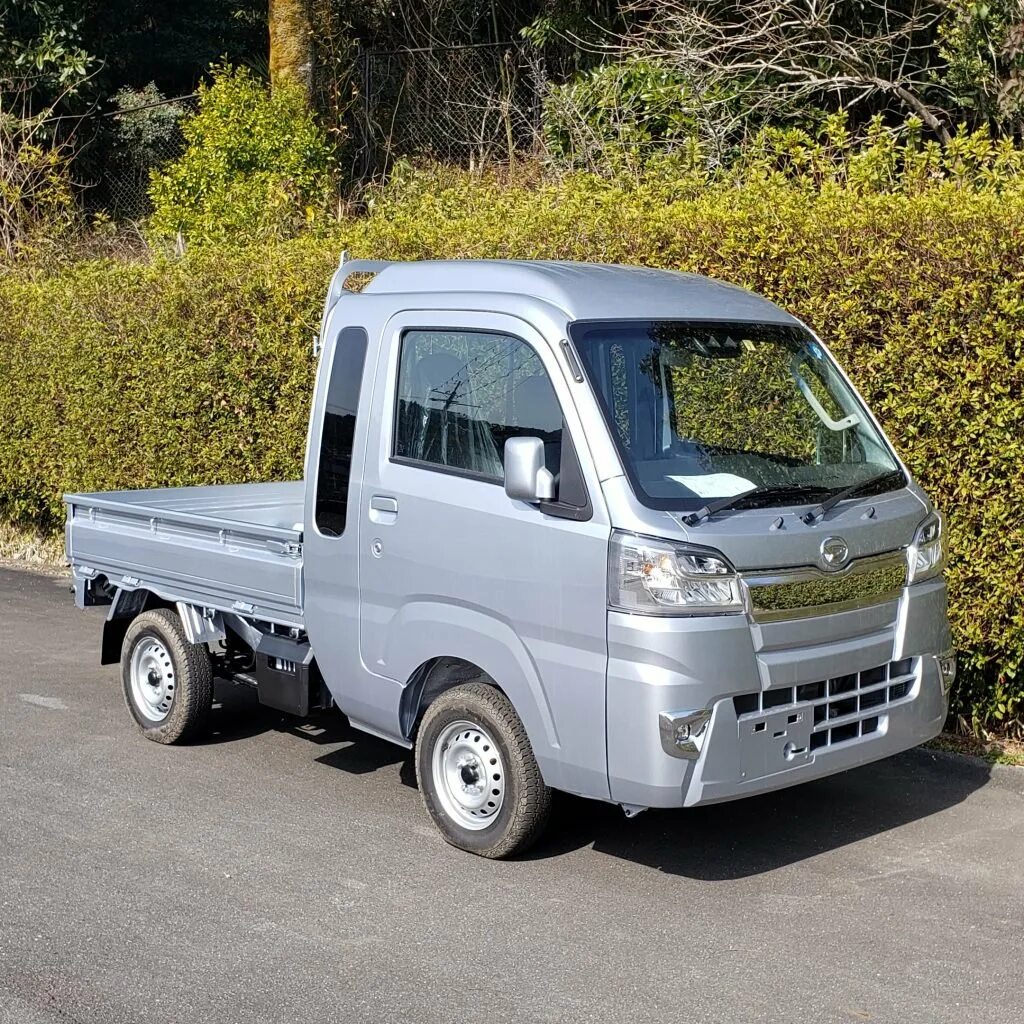 Купить грузовичок до 1.5. Daihatsu Hijet 2018. Daihatsu Hijet 4x4. Daihatsu Hijet, 2002. Daihatsu Hijet 2003.