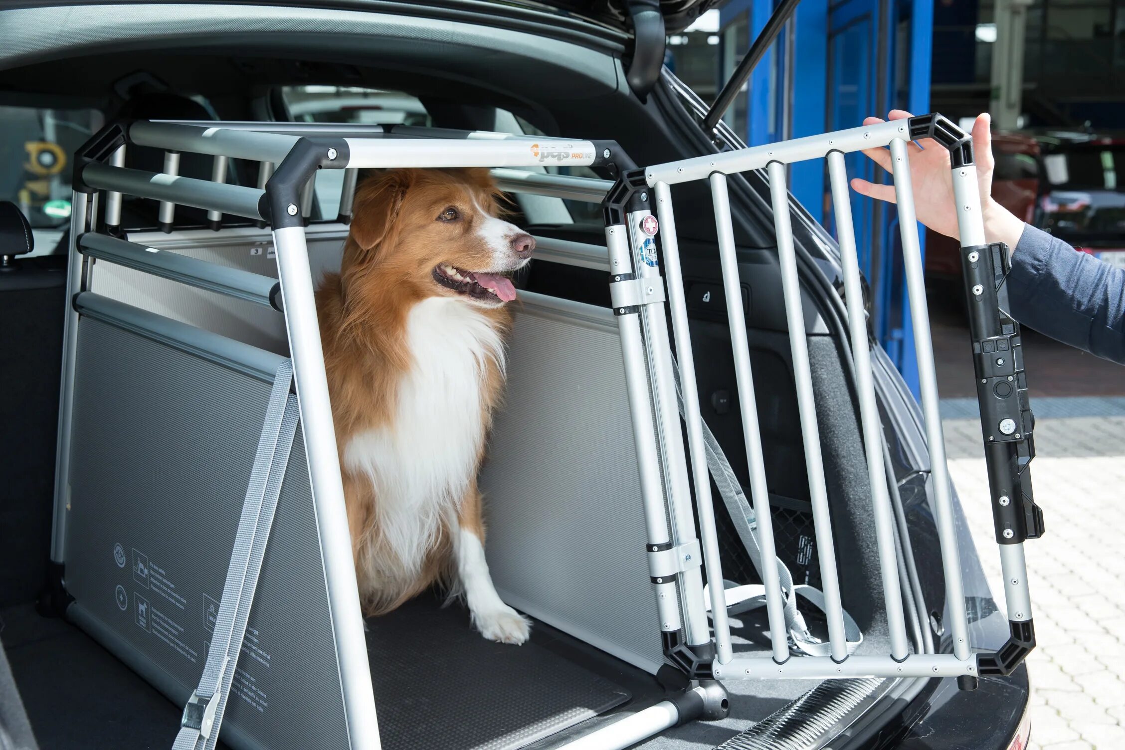 Приспособление для перевозки собак. Перевозка для собак. Собака в багажнике. Собака в машине. Как перевозятся крупные собаки