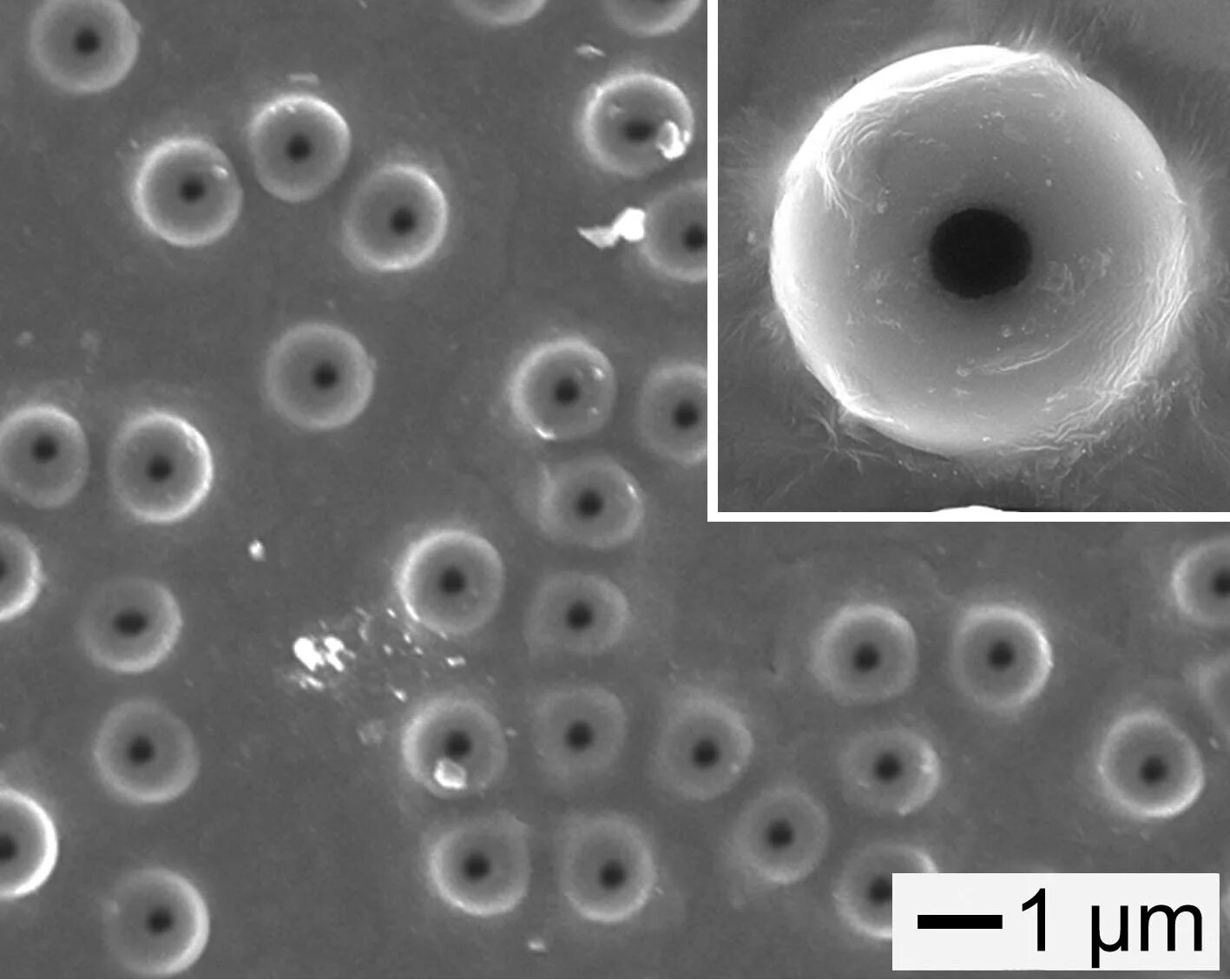 Single-atom transistor hailed as a landmark in the development of quantum comput