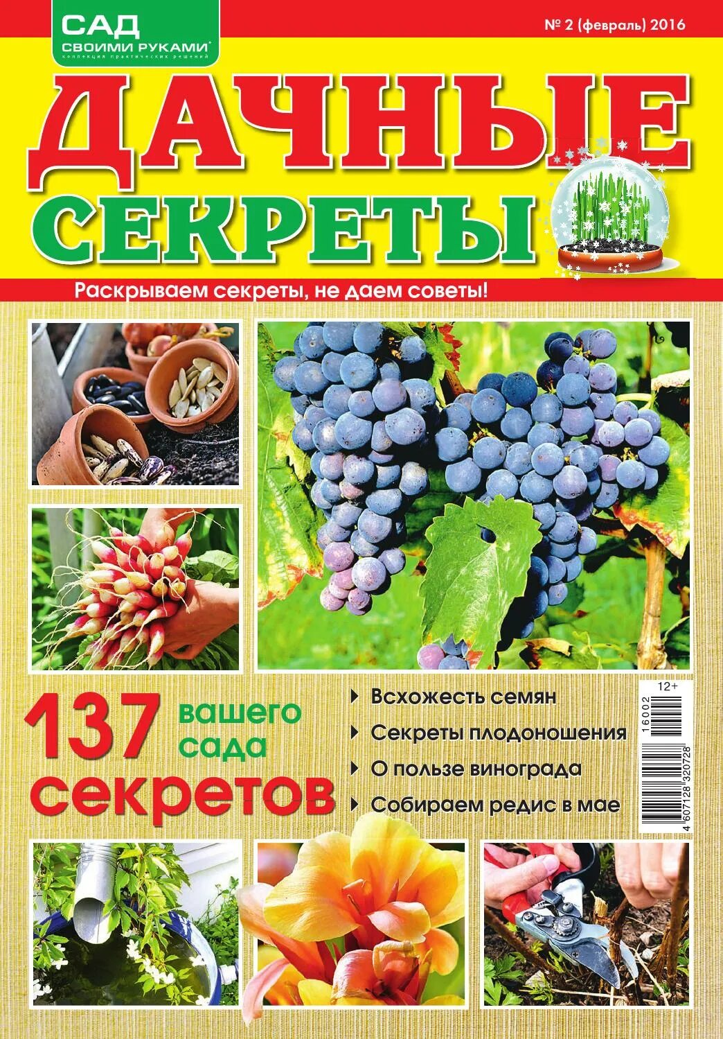 Журналы про огород. Журналы про огород. Дачный журнал. Дом сад огород журнал. Журналы про огород.