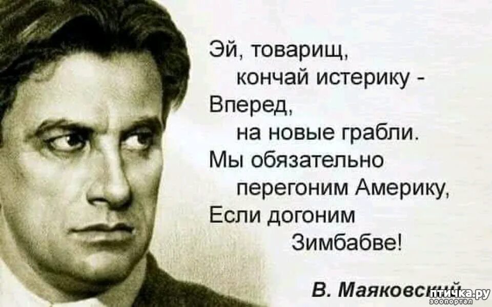 Маяковский цитаты. Перегоним Америку если догоним Зимбабве. Маяковский догоним Зимбабве. Маяковский в. "стихи".