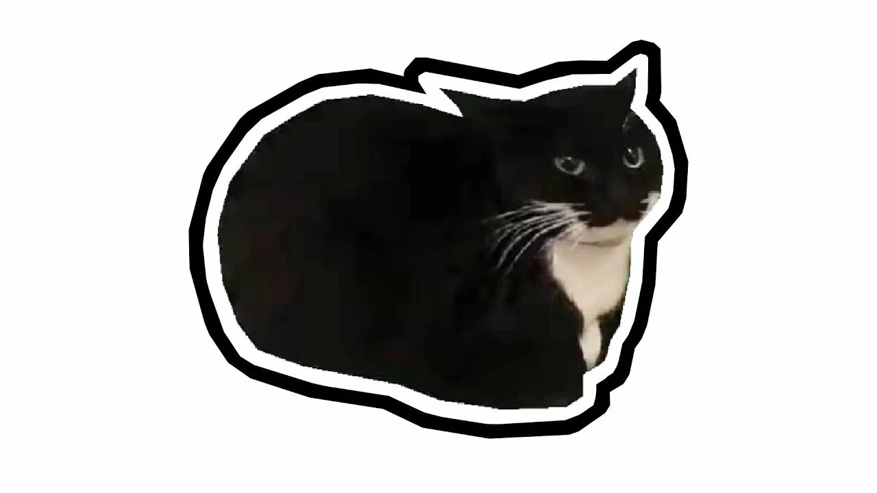 Maxwell The Cat GIF - Maxwell The Cat - Ищите GIF-файлы и обменивайтесь ими