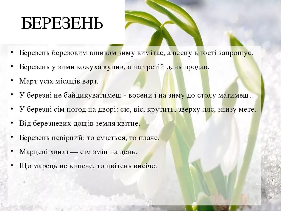 Месяцы на турецком языке. Название месяцев на польском. Названия месяцев на украинском. Березень месяц с украинского. Названия месяцев на украинском и белорусском.
