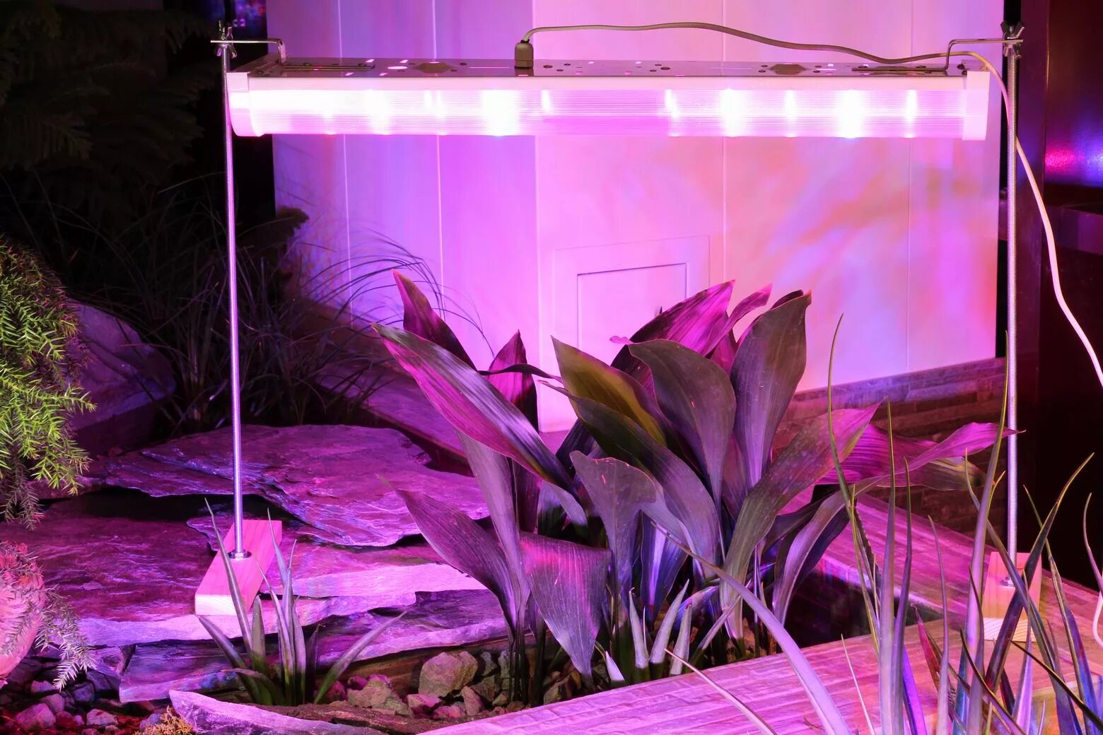 Освещение для растений. Фитосветильник Солнцедар д-40 комфорт. Подсветка растений. Лампа для подсвечивания растений.