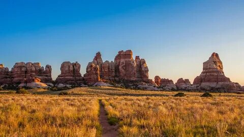 Wild places
