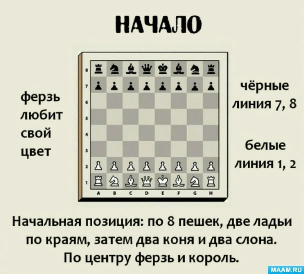 Положение в шахматах 8 букв. Правила игры в шахматы для начинающих детей. Правила игры в шахматы для начинающих как ходят фигуры. Шахматы правила игры для новичков. Правил игры в шахматы для начинающих.