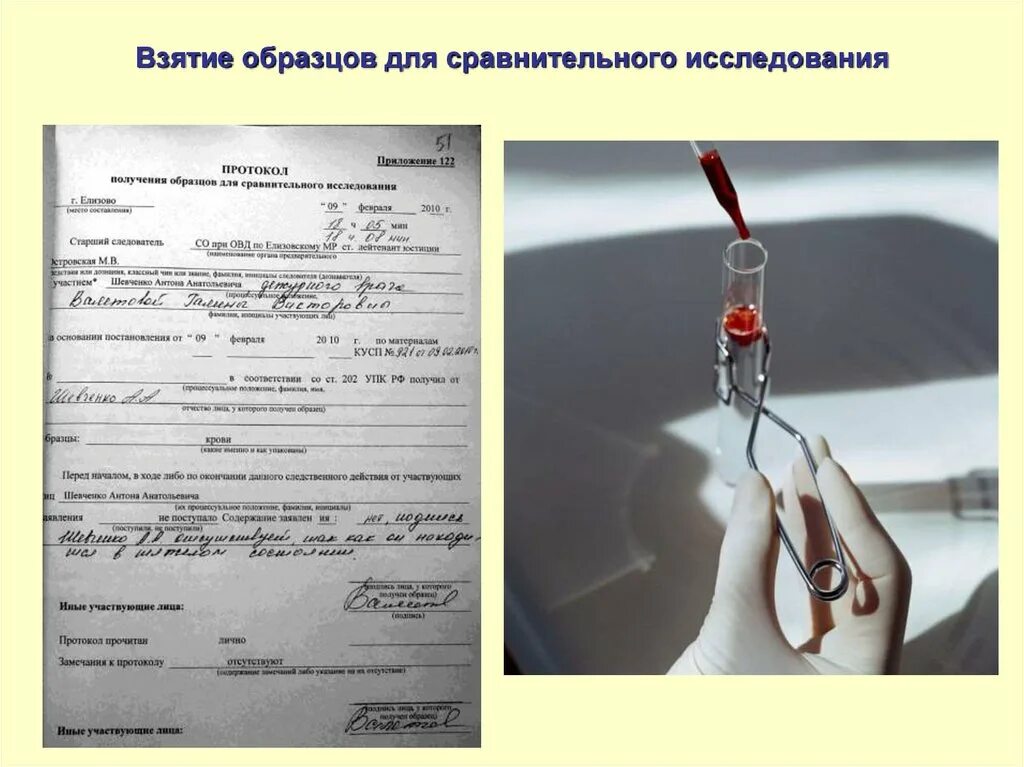 Представлять образцы для сравнительного исследования. Образцы для сравнительного расследования. образцы для сравнительного исследования. образцов для сравнительного исследования. образцы для сравнительного исследования криминалистика.