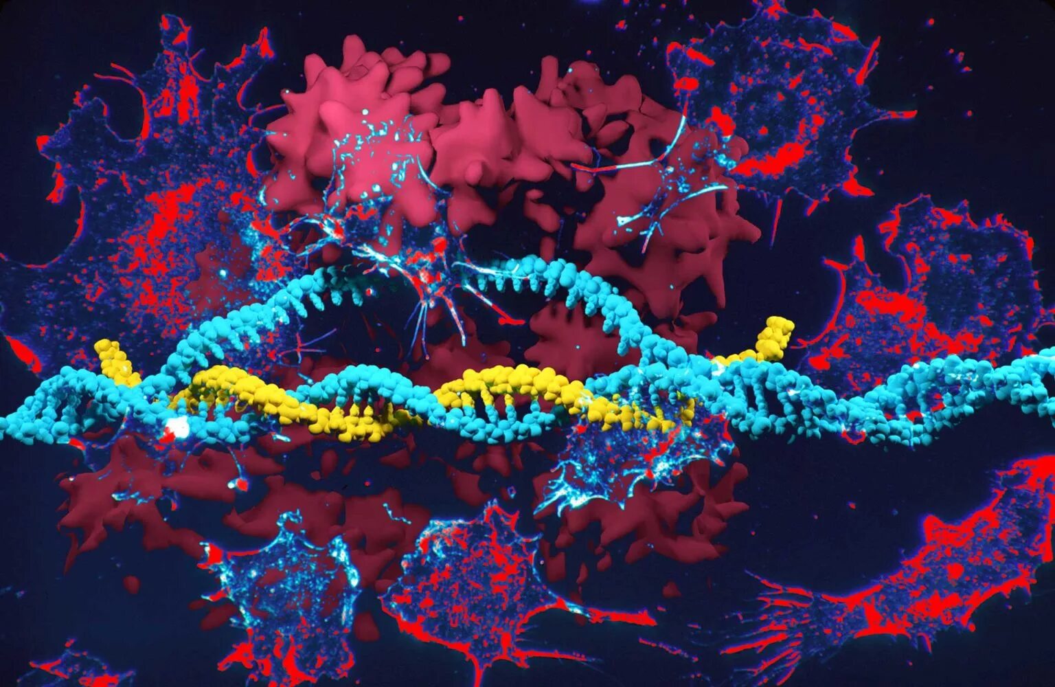 Наследственные заболевания днк. Генная инженерия CRISPR. КРИСПР кас9. Изучение ДНК. Клетка ДНК.