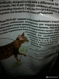 Кошки хорошие состав