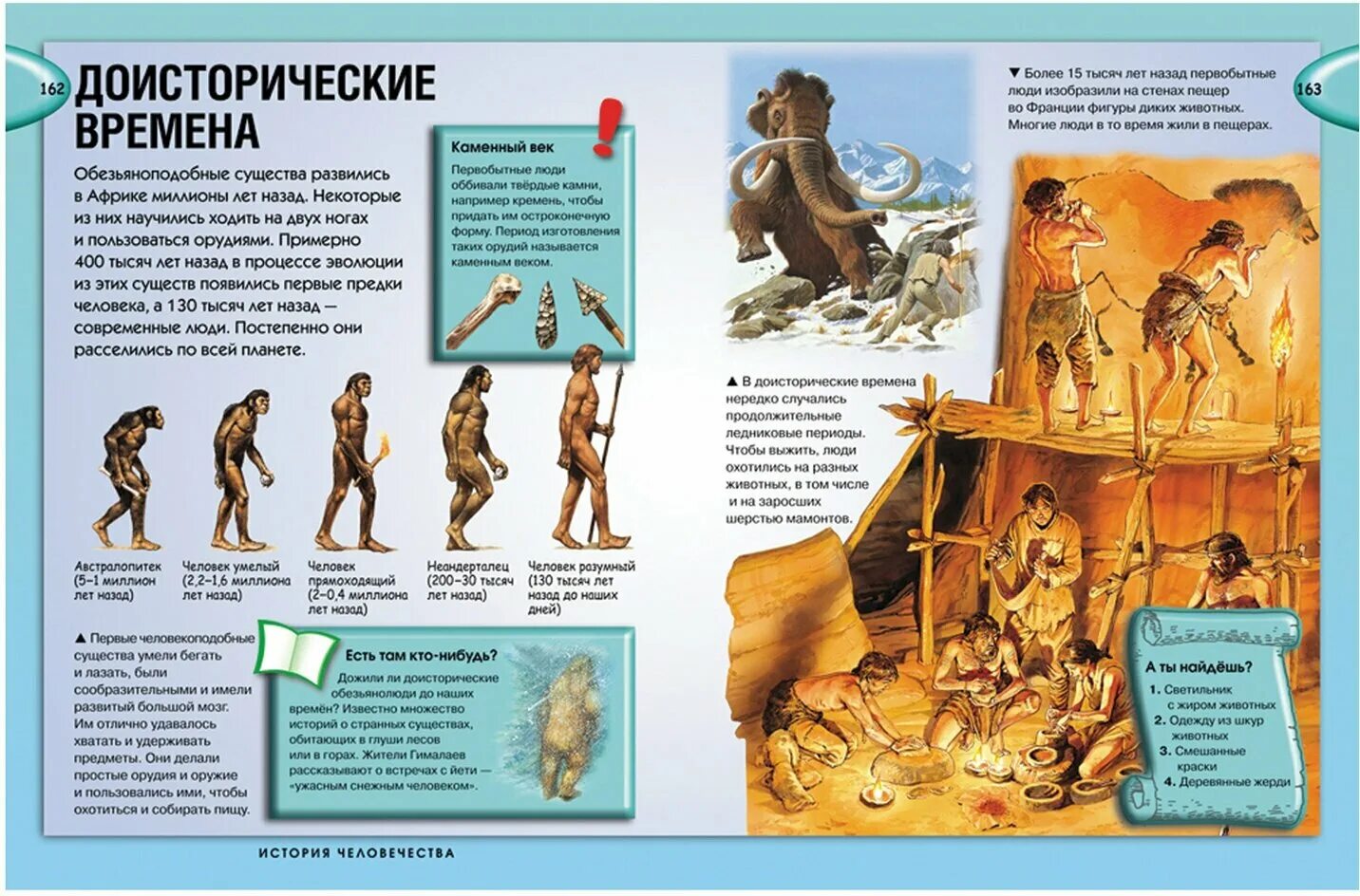 первые обитатели земли. как появляются существа. эволюция живых организмов на земле. как появляются существа. эволюция человека от клетки до человека разумного.