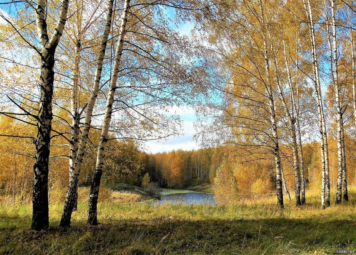 Март это осень. Осень в Пересвете. Рязань осень. Осень облака в Рязани. Осень в небе жгут.