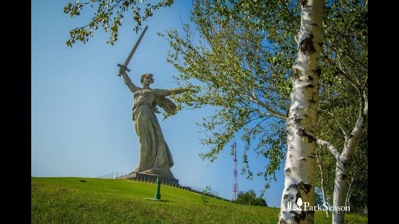 Растет в волгограде березка агашина волгограде. Растёт в волгограде берёзка. Песня растет в волгограде березка. Березка волгоград песня. Растёт в волгограде берёзка ноты.