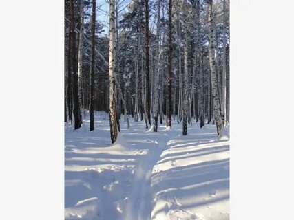Бури снежинск