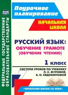 Система уроков по литературе