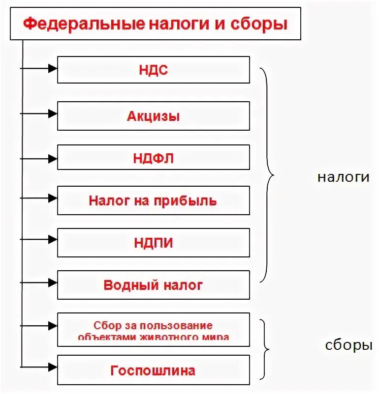 Перечислите 5 федеральных налогов. Федеральные налоги и сборы схема. Федеральные налоги и споры. Федеральный. Перечислите федеральные налоги.