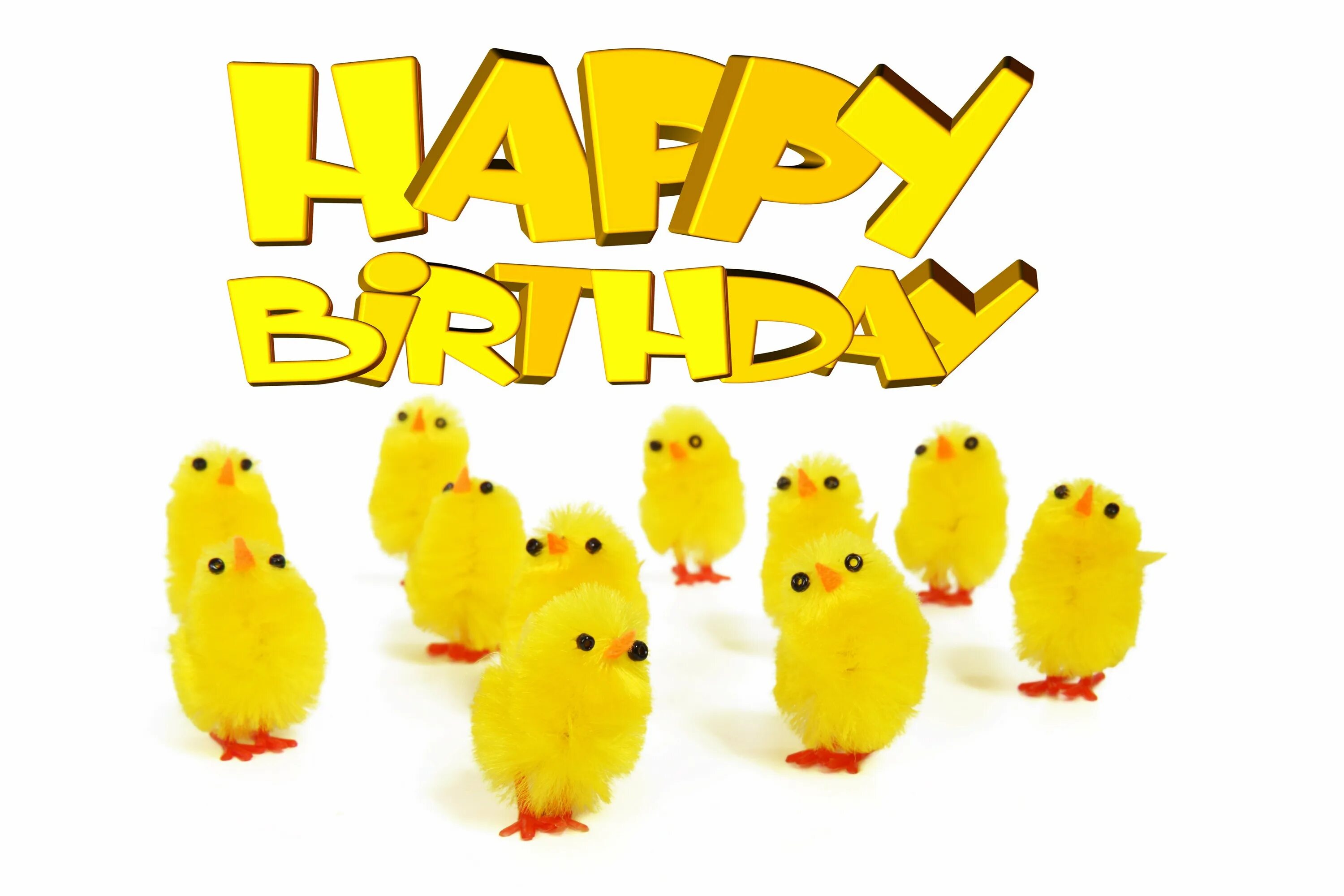 С днем рождения курица. С др цыпленок. Открытка с цыпленком с днем рождения. Цыпленок поздравляет с днем рождения. С днем рождения Курочка.
